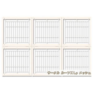 [ T[N[t XLp bV ]ybgT[Np p[c JX^p[c Eh~ ѕ ͂  CeA  ɓ kiinus L[kX { ybgƋ