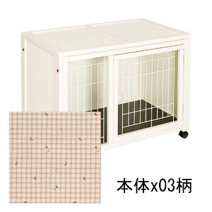 [][ ybgP[W nEXAS88 ]^p P[W  Q[W RpNg 2  ȃP[W Lbg hAt t ͂  LX^[t  CeA 