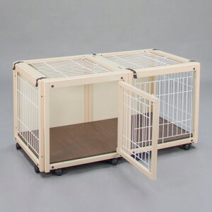 [ ybgP[W FR60S bVA ]^p P[W  Q[W RpNg hAt t LX^[t 2  傫  T[N ɓ CeA 