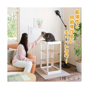 yAEgbgz[Lbg^[ pX 1Zbg(sAzCgF)] L^[ u lR^[  CeA ؐ ɓ   kiinus L[kX { ybg