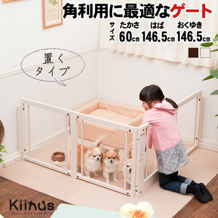 楽天市場】kiinus(キーヌス) [ コーナーゲート F 60XL アクリル  