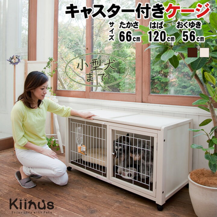 楽天市場】[売り尽くしセール][翌日発送][ペットケージハウスAS120 