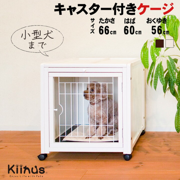 楽天市場】[売り尽くしセール][ペットケージハウスAS60]小型犬用 