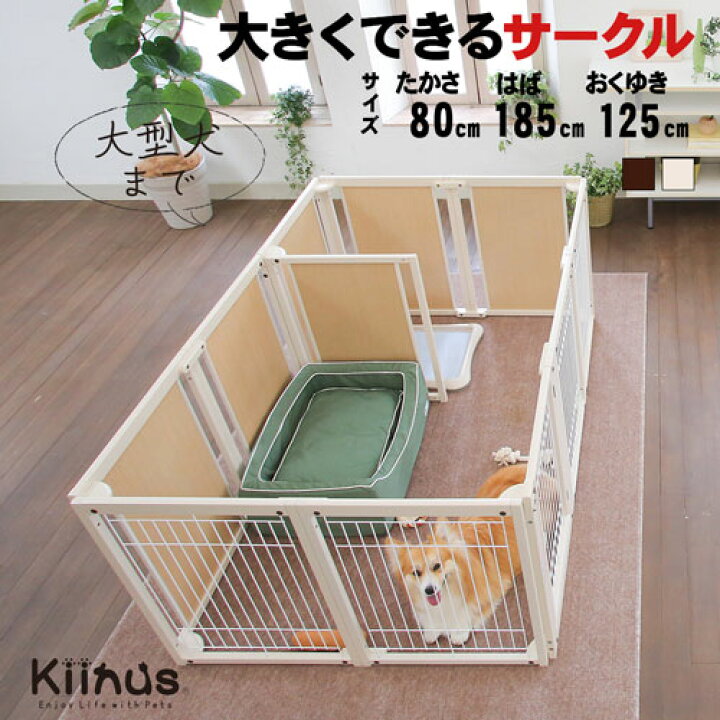 楽天市場】【セール】【メーカー直送】【カラーが選べる】 kiinus  