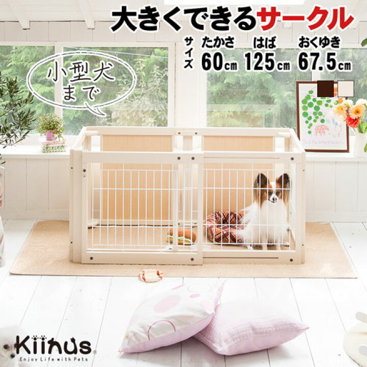 楽天市場】kiinus(キーヌス) [ ペットサークル FS 60 S メッシュB 