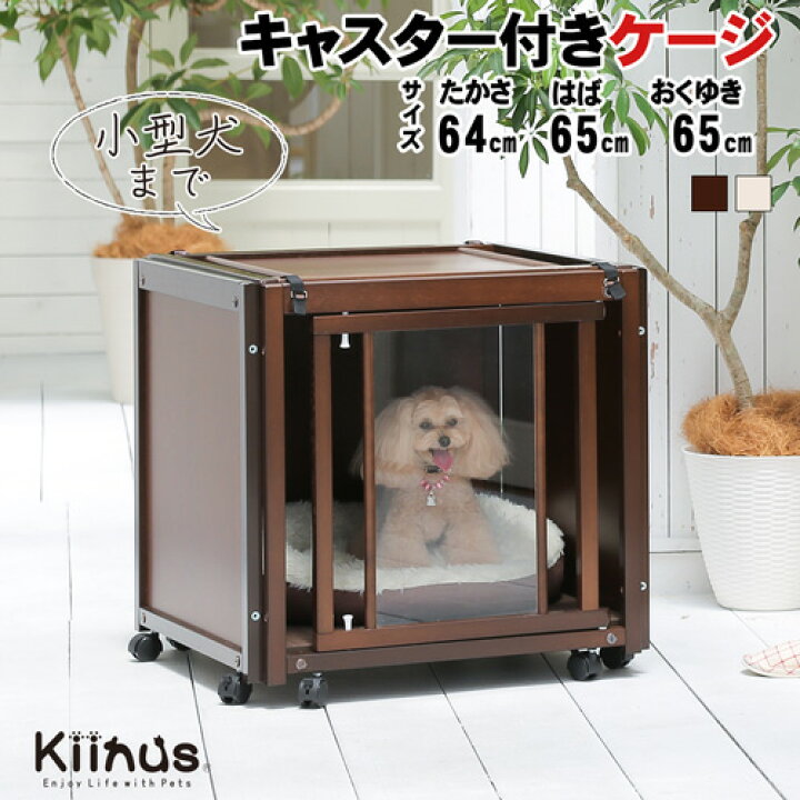 楽天市場】kiinus(キーヌス) [ ペットケージ FR 60 SS アクリル ] 小型  