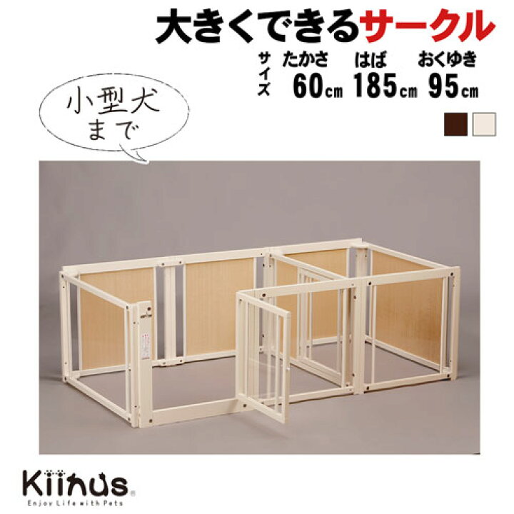 楽天市場】kiinus(キーヌス) [ サークルルーム F 60 Lpアクリル ] 小型  