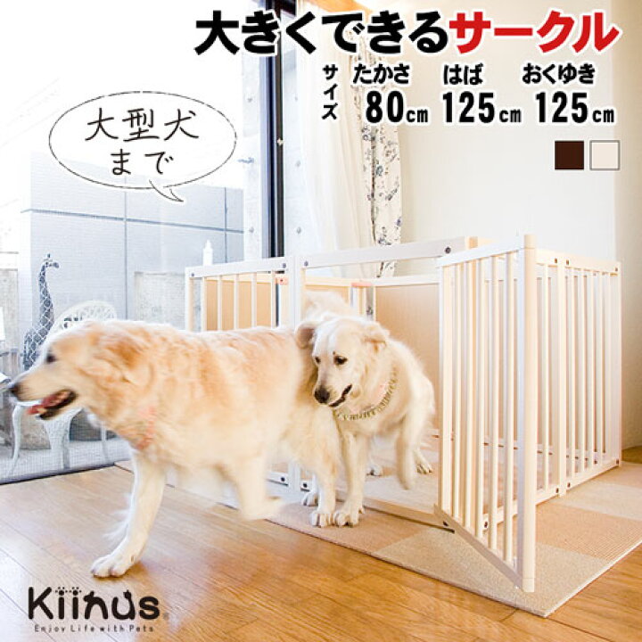 楽天市場】kiinus(キーヌス) [ ペットサークル 80 XL ] 犬用 サークル  