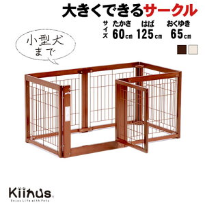 [ ybgT[N F60S bVA ] ^p T[N  P[W ͂  Q[W 60cm  Ebh CeA ؐ ybgƋ kiinus L[kX {