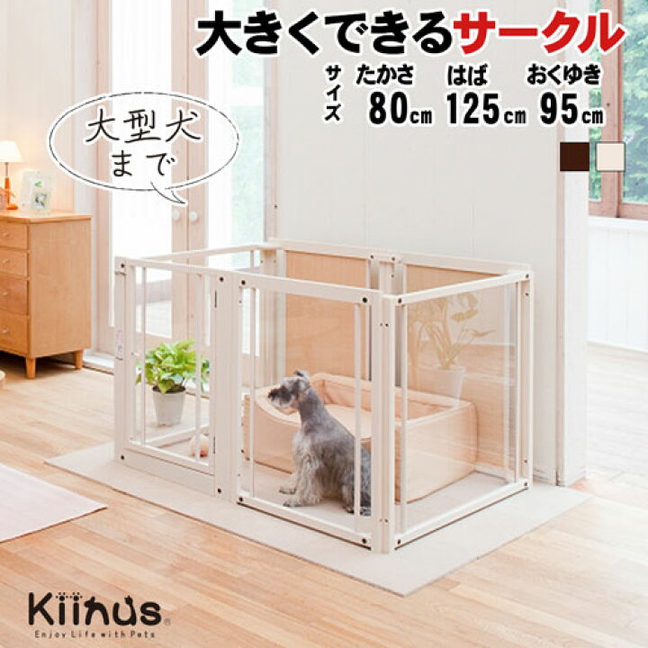 楽天市場】kiinus(キーヌス) [ ペットサークル F 80 L アクリル ] 犬用  