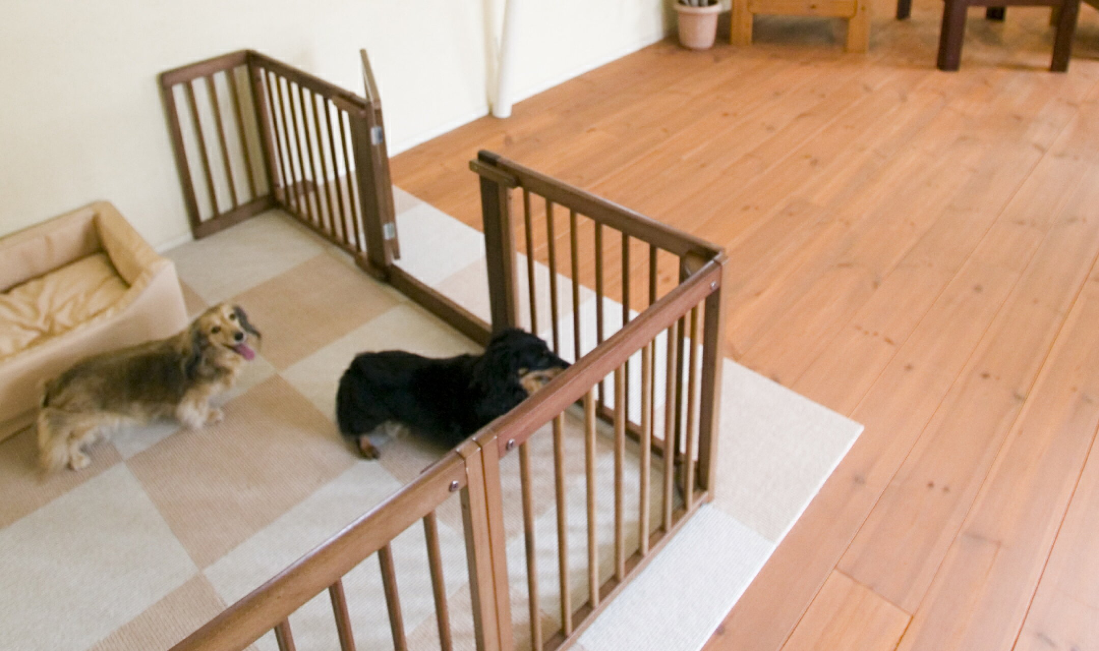 高さ60cm/丸棒枠/扉付きゲート