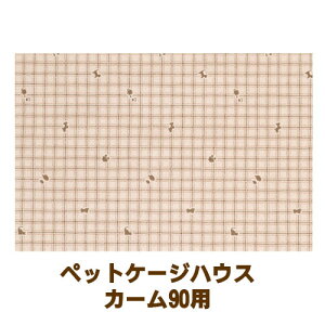 kiinus(L[kX) [ ybgP[W nEX J[90p }bg 03] P[Wp ybgp h h L }bg aOrA