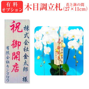 500円 花 生花の人気商品 通販 価格比較 価格 Com 500円 花 生花の人気商品 通販 価格比較 価格 Com