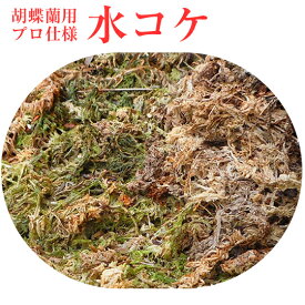 楽天市場 胡蝶蘭水苔の通販