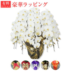 yL500~(ŕ)bsOzPiŔ͕̔s3Ԃ͔؂Ȃ̂ŃLZɂȂ܂