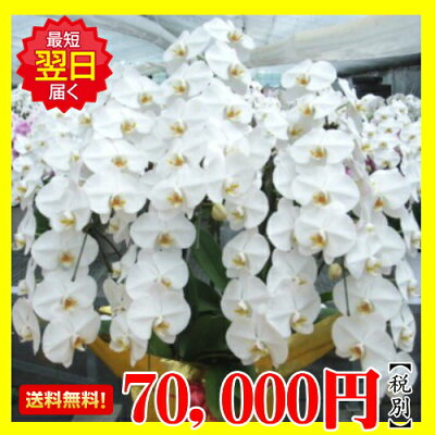 7万円税別