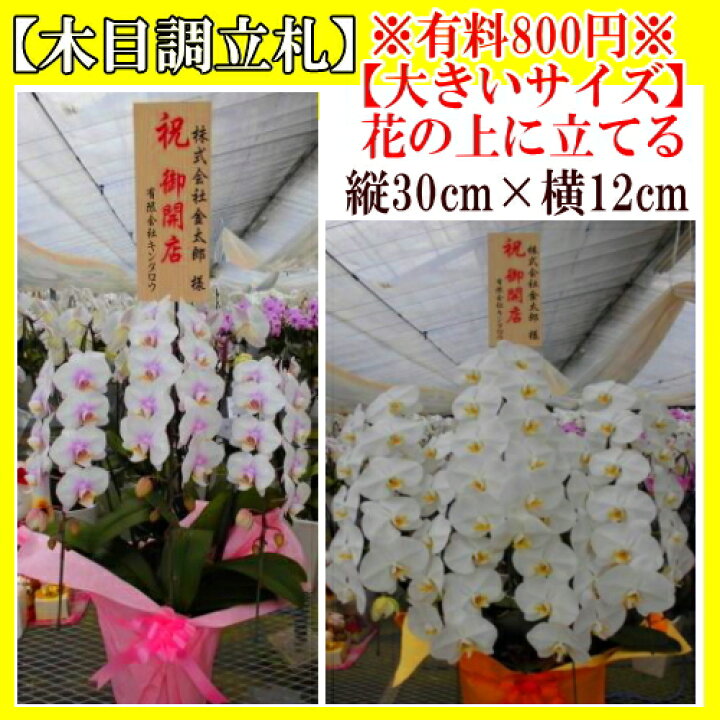 楽天市場 有料800円 木目調立札 800円 大タイプ 花より上に出るタイプ伸びる棒付 木目調立札 大タイプ800円 木目調立札 単品での販売はできません 胡蝶蘭 胡蝶蘭 お祝い お祝い花 移転 栄転 進発 上場 就任 退職 還暦 長寿 開店 開院 開業 鉢花 お祝い お供え
