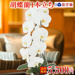 yyzŒZzӒ1{/Ӓ//~fBn//j/j/JX/J@/i/I/AC/N/J@/h]/i/ސE/җ/ËH//Ӓ5,000~(ŕ)yz\