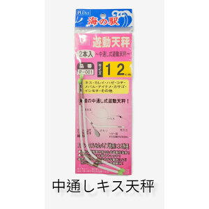 VV 12cm P-001 2{ C̉w vX DLX ʂer Dނ [ m13-08-223379n