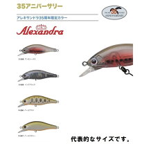 楽天市場】パームス ミノーの通販