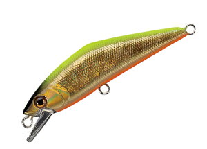 yS38Fz X~X DR^Ng 50 D-R^Ng 50mm ~m[ k lCeBu DR [