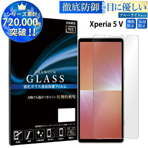 �y�݌ɏ����z �u���[���C�g�J�b�g Xperia 5 V SO-53D SOG12 XQ-DE44 �K���X�t�B���� �G�N�X�y���A �����K���X�ی�t�B���� �ڂɗD���� �t���ی� ��ʕی� TOG TJ