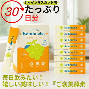 _{0̕t|CgUPI^y×zRu`  ؍ yf  VC}XJbgb_ yf e r@@N _CGbg KOMBUCHAyȃX[p[