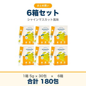 コンブチャ 6箱セット シャインマスカット風味 1箱150g(5g×30包)×6箱 計180包 粉末 個包装 スティックタイプ 水や炭酸水に溶かす発酵飲料 TEA CHA CHA 韓国製