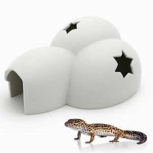 ঒ރVF^[01@ޗpVF^[@@@@gJQEEJGEwrEnX^[Ip VF^[tgAS BƁ@঒ BƁ@঒ ObY