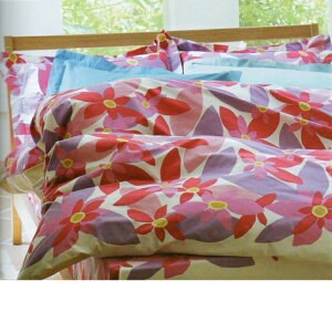 Vry݌ɏz@|zcJo[VOTCY150cm×210cm