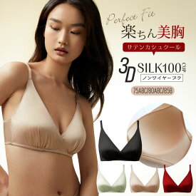 ＼10％OFFクーポン☆FASHIONフェア／新入荷 シルク100％ 3Dマシュマロカップ ストレッチサテン カシュクール シームレス 立体カップ ギャザーカップ ブラジャー ノンワイヤー シングルサイドボーン 無地 4カラー S/M/L/XL 送料無料 ctbra main