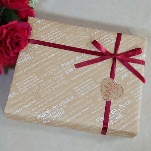 _P10{}\^̓ Mtg bZ[WJ[ht BOXbsO ȈՃbsO v[gp Mtg{bNX/MtgobO iƈꏏɂIт