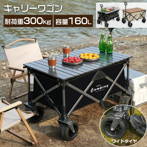 y1zL[S L[J[g e[uZbg AEghAS ܂肽 4 Ch^C  ω׏d300kg e y
