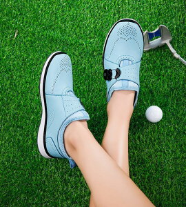 StV[Y fB[X XpCNX  _CA h h z[h X|[cV[Y tBbg \tgȗSn