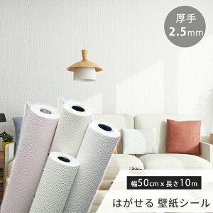 2.5mm ǎV[ 10m h h CNV[g Lb`p ͂ ̂t JbeBOV[g ǎV[g DIY fM  kn hJr ͗lւ gCp  C  h N