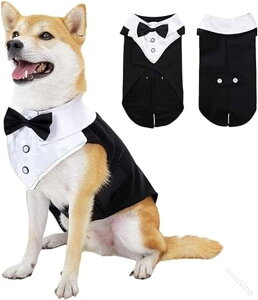 X[c  m ^LV[h ^ ^ am  Č _bNX S[fgo[ sbgu uh[ lN^Ct nEB NX}X  ϐg 