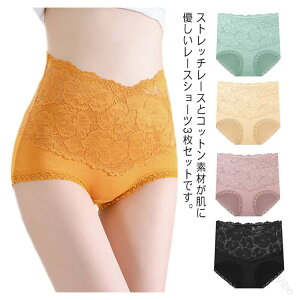 [  fB[X 3Zbg V[c [X  nCEGXg [ ҏ[  [XV[c pc Lk Xgb` ʋC ꂢ ̓ v[g Mtg lC K t