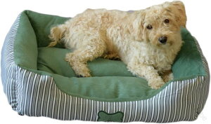 �L �� �O���[�� �x�b�h �y�b�g�n�E�X 48x38x16.5CM �����p �n�E�X �h�b�O�x�b�h ���^�� ������ �X�N�G�A �y�b�g�x�b�g ��񂱃n�E�X �y�b�g�p�x�b�h �y�b�g�O�b�Y �N�b�V���� �Q�S�n�ǂ����K�d