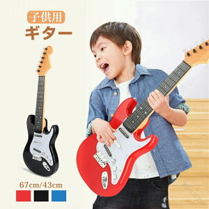 qp M^[ LbY S   ~j EN {iI6  M^[  mߋ yߋ v[g Mtg 낢 y ^ ȒP ʐ^ Be  w 