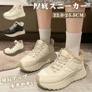 Xj[J[ fB[X Nѕt Xm[u[c C ₷ y   ꂢ EH[LOΉ ŔɂfUC 125cmȏΉ