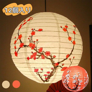 12Zbg  ~  傤 ~͗l  at y[p[^ ~ ی^ ԉΑ čՂ ^ Xܗp̂  Ղ p ̓MtgɍœK