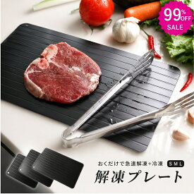 474~ 先着限定 ★解凍プレート 家事ヤロウ　3mm正規品　解凍プレート 急速解凍　冷解食品解凍　家庭用 自然解凍 急速 解凍　食洗機対応　解凍プレート まな板 粗熱　かっぱ橋