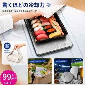 1本396円~ 即納 ★2点目99%オフ★ 保冷剤 ステンレス保冷剤 長時間 強力保冷 小型 クーラーボックス 繰り返し使える 冷蔵 冷凍対応 熱中症対策 急速冷却 アイスパック お弁当 釣り