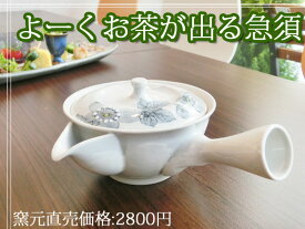 【錦山窯】窯元直売 瀬戸赤津焼 立花　急須　【口広 網付きセット おいしい お茶】引越祝い　結婚内祝い　出産内祝い　結婚祝い　出産祝い　誕生日　祝い　プレゼント　ギフト　贈り物　新築祝い　開店祝い