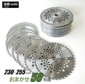 p `bv\[ AEgbg ܂ 50g Oa230mm (25) 255mm (25) @p ERщp ؂ꖡ ϋv ւn  ܂Ƃߔ