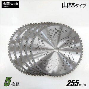 yOutletz `bv\[ R 255mm×60P (5g) @ ERщp `hn ݐn ΂ߖ y bV ֐n ւn  @ @ @