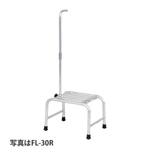 nbNX t~bN A~  p 20cm FL-20R