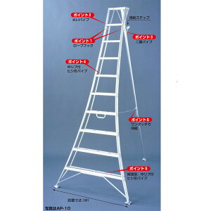 nbNX A~Orr AXebv AP-12 r   뉀  ʎ