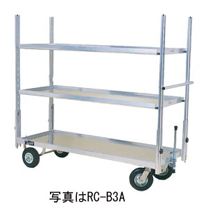 nbNX A~tR bNXJ[S RC-B3A 4փGA[^C ԑ I ԒI _ K[fjO ^