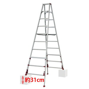 sJ lrAWXgpr 㕔^Cv X^bs[ SXJ-300A L 55mm őgp100kg ܎ ^b`[